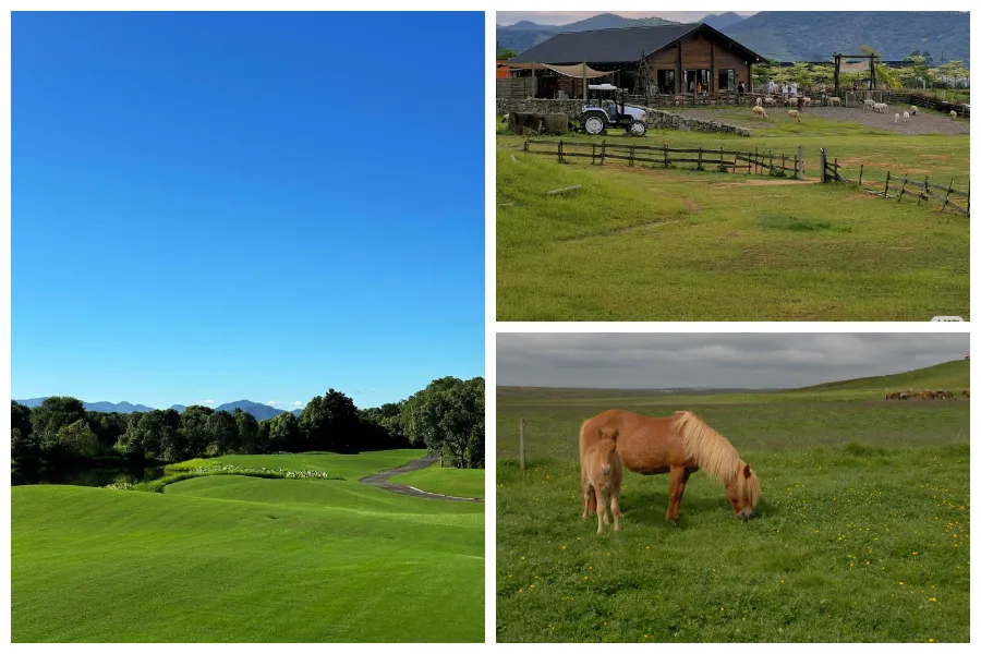 Remote-Control Lawn Mower 500mm