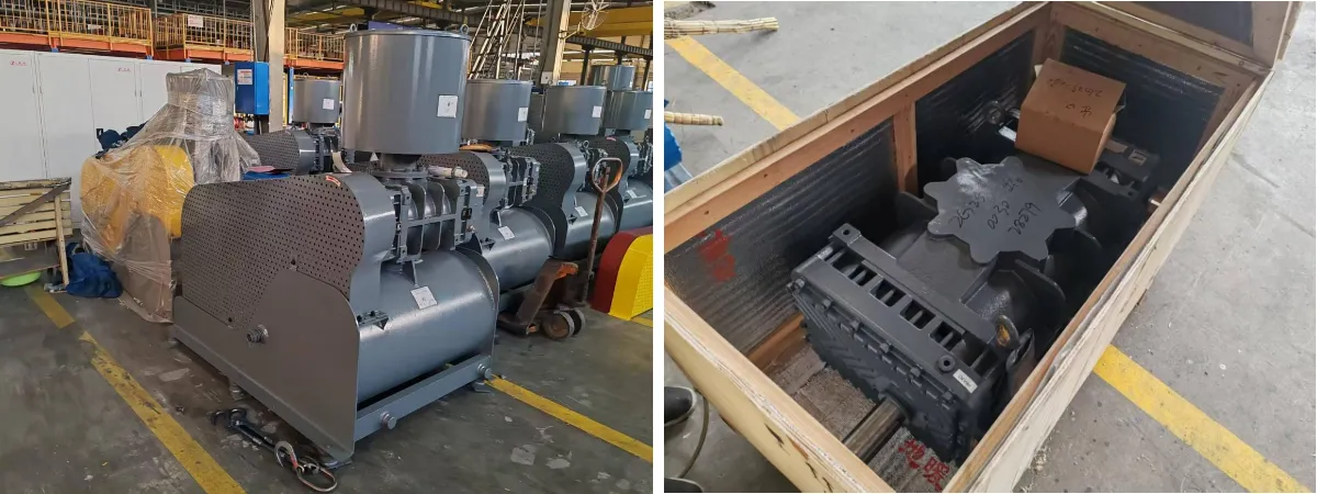 Application of Roots Blower in the Food Industry