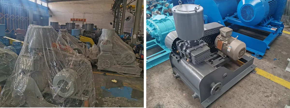 Application of Roots Blower in the Food Industry