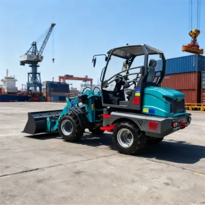 Electric Loader for Sale