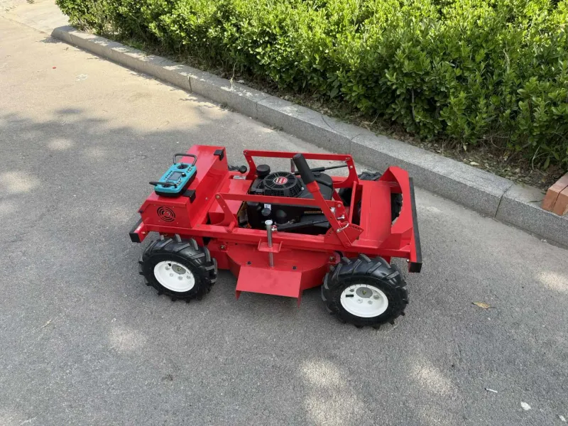 Remote control lawn mower 600mm