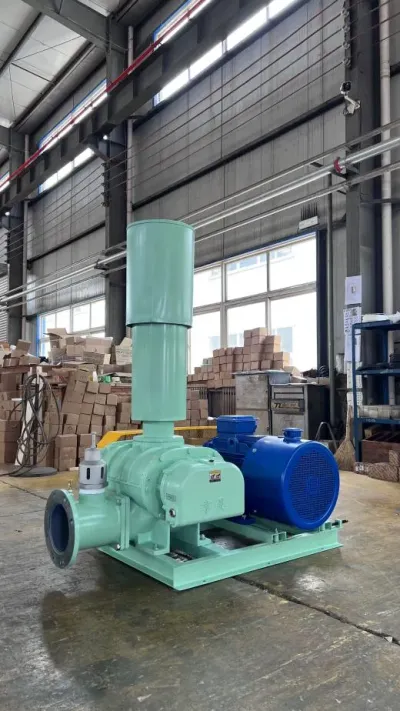 ZH Series Roots Blowers