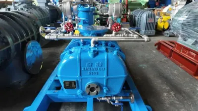 RR series Roots Blower