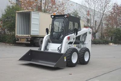 Small Articulated Loader